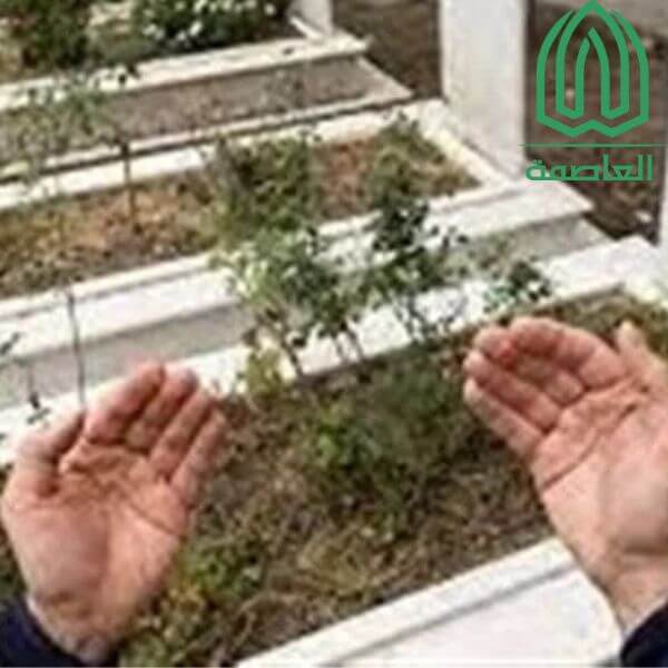 مقابر بأسعار مناسبة