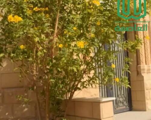 مقابر جاهزة للبيع